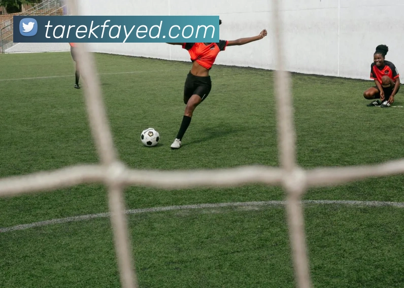 MILAN.COM服务体系